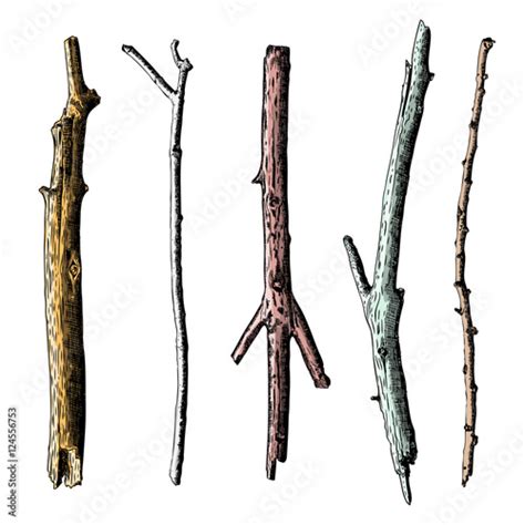 Set Of Ink Drawing And Painted Wood Twigs Isolated Watercolor