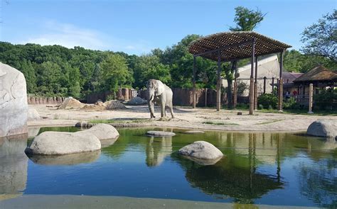 Cleveland Metroparks Zoo Aktuell Für 2023 Lohnt Es Sich Mit Fotos