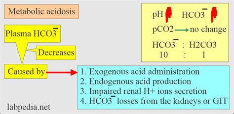 Acid Base Balance Part 2 Metabolic Acidosis And Metabolic Alkalosis Anion Gap