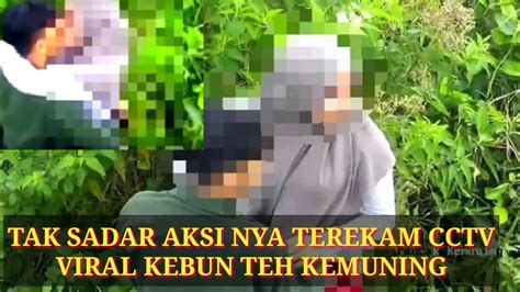 Viral Sejoli Mesum Di Kebun Teh Terekam Cctv Saat Ciuman Mesra Polisi Usut Pelakunya Youtube