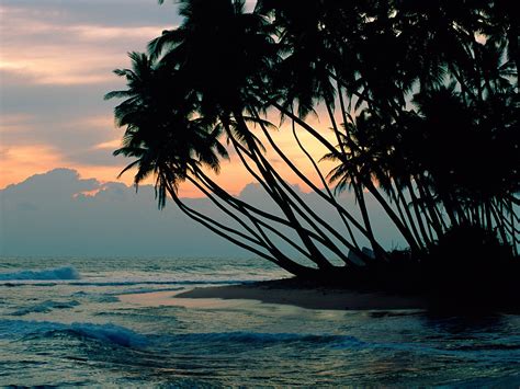 Colombo Sri Lanka Cool Places To Visit Beach Wallpaper Places To Visit