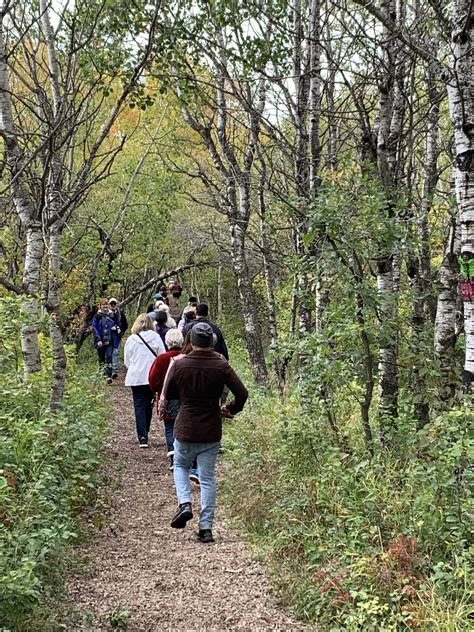 5 Reasons Why Assiniboine Forest Should Become A National Urban Park