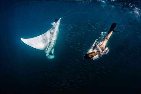 Photographer Shawn Heinrichs Captured Amazing Photos Of Model Swimming