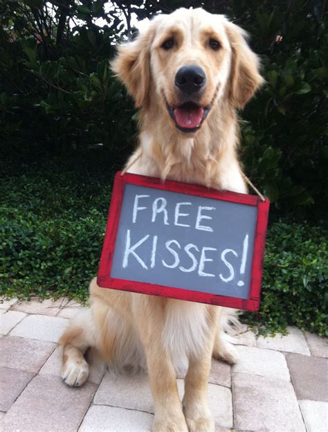 Free Kisses From Stetson He Makes My Heart Feel Nice Golden