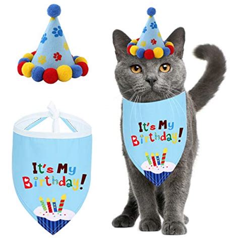 Best Birthday Hat For Your Cat