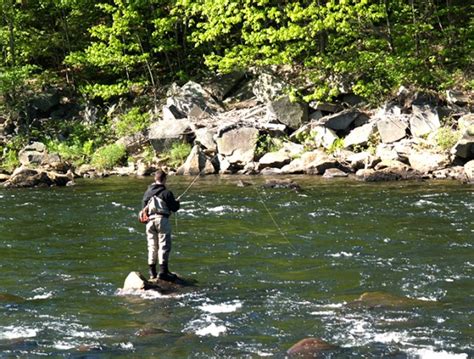 Free Fishing Day Is Saturday June 1 Nh Fish And Game Department