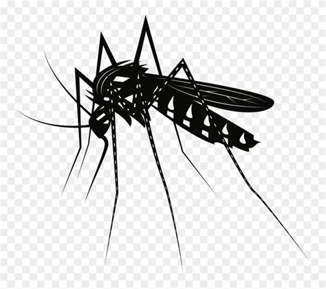 Medium Image Mosquito Clipart Black And White Png Download 781708