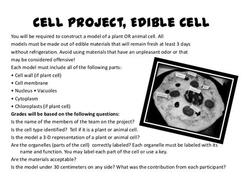 Edible Plant Cell Project Recipes