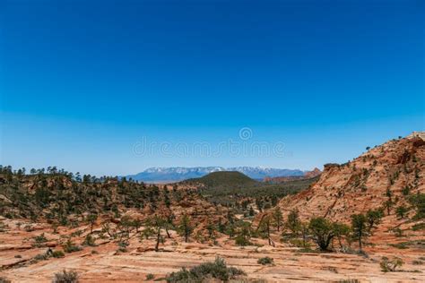 Awesome Landscape Of Hoodoo And Trees Zion National Park Image Blue
