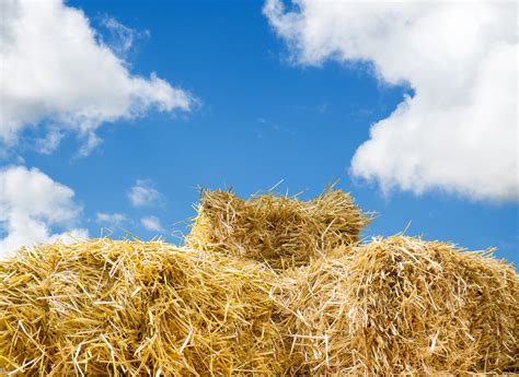 Hay Bales Blue Sky Free Stock Photo Public Domain Pictures