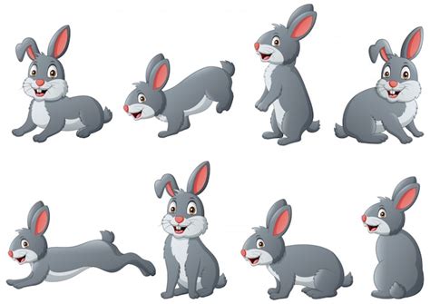 Free Rabbit Vectors 31000 Images In Ai Eps Format