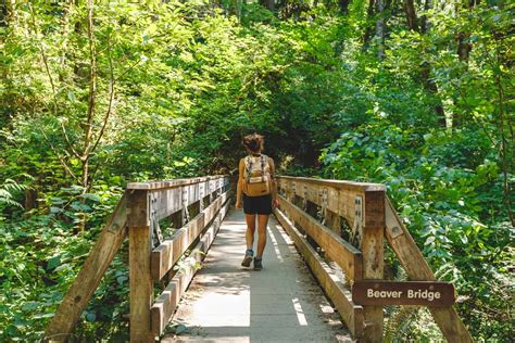 Exploring Tryon Creek State Natural Area In Portland 2023