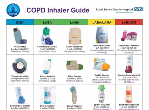 Asthma Medication Inhaler Colors Chart Asthma Copd Inhalers Chart Porn Sex Picture