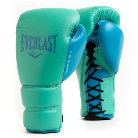 Blue Everlast Punching Bag