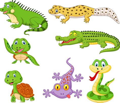 Cartoon Reptiles And Amphibians Collection Set 8387767 Vector Art At