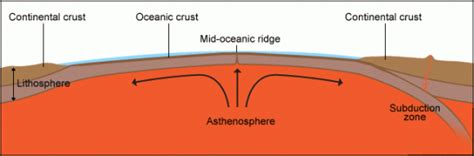 How Does Seafloor Spreading Support Plate Tectonics Floor Roma