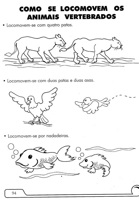 Atividade Sobre Animais Vertebrados E Invertebrados 3 Ano