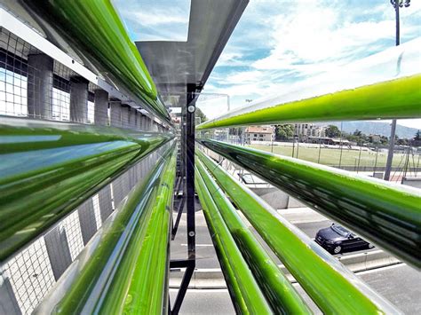 Six Green Designs Powered By Algae Engadget