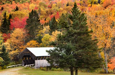 Fall Foliage Workshop In Western Maine Waterfalls