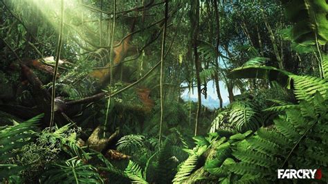 4k Jungle Wallpapers Top Free 4k Jungle Backgrounds Wallpaperaccess