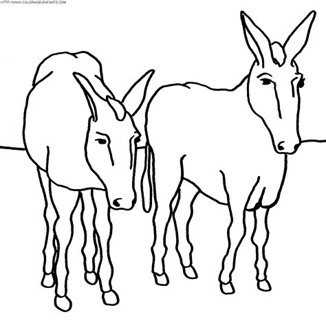 Dibujo Burros A Colorear Paginas De Dibujos Animales Para Los Ninos A