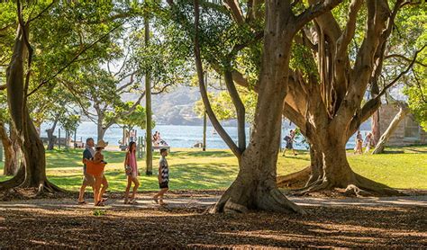 Where is nielsen park located? Nielsen Park | NSW National Parks