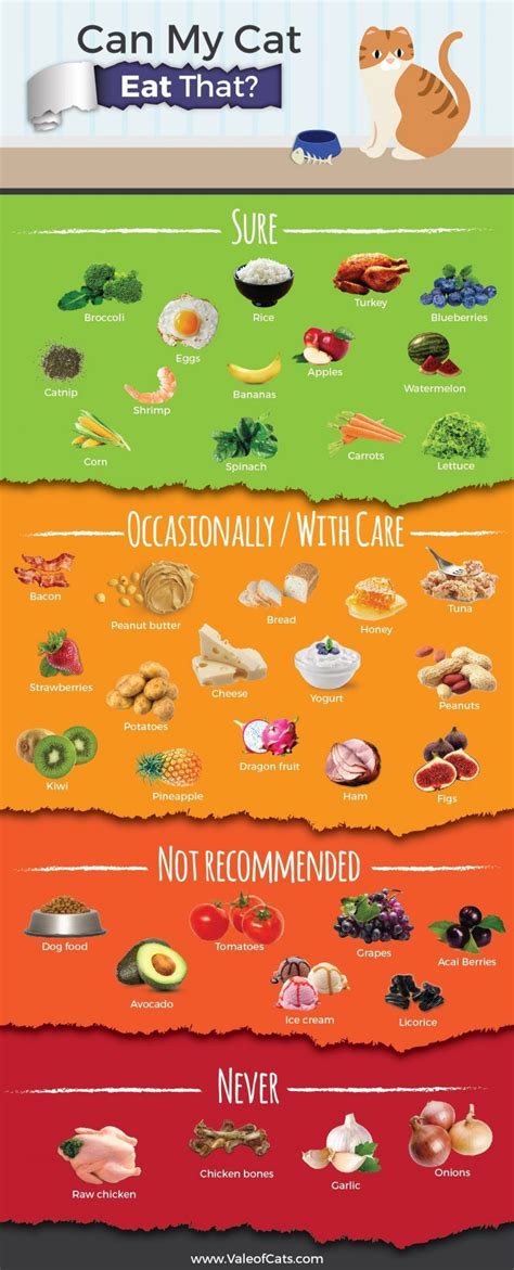 Before going ahead and feeding your dog some of those raspberries you're having, you must carefully larger dogs can safely eat more raspberries than smaller dogs, because their system can handle the excess amount better, but if you want to stick on. Can cats eat that? (With images) | Foods cats can eat ...