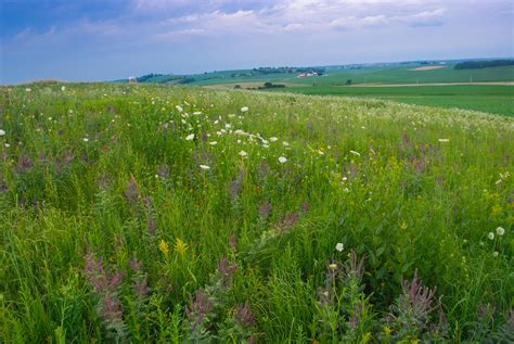 Empire Prairies, SNA #146 (38/674) - State Natural Areas of Wisconsin