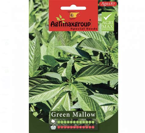 Green Mallow Agrimax Seeds Buy Online In Uae Green Souq Uae