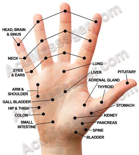 Acupuncture Points Hand Hand Pressure Points How To Use Them Where To Find Them And More