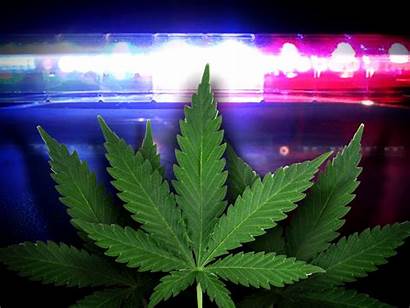 Marijuana Police Charges K9 North Found Nsp