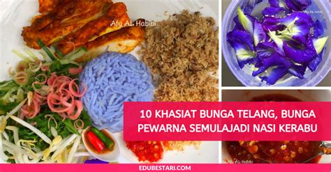 Resep nasi kerabu khas malaysia nasi kerabu bahan: 10 Khasiat Lain Bunga Telang, Bukan Sekadar Bunga Pewarna ...