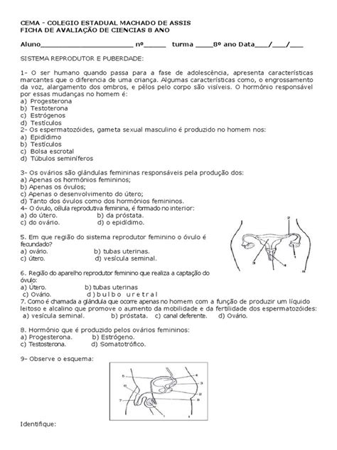 Ficha Atividades Sist Reprodutor E Puberdade 8 Ano Sistema