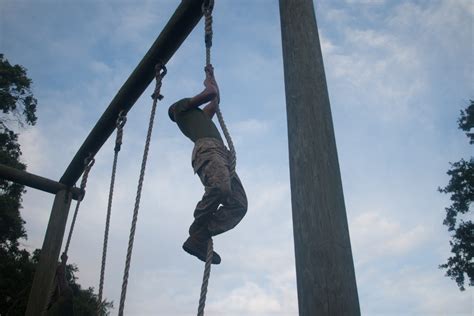 Dvids Images Photo Gallery Marine Corps Recruits Increase Strength