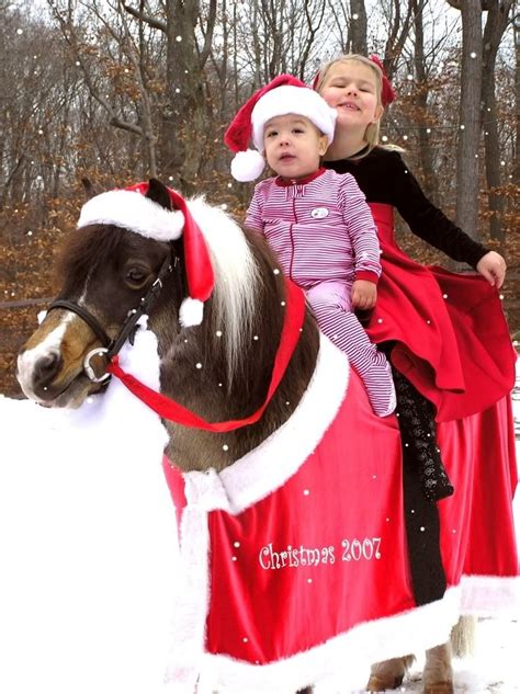 7 Horses Dressed Up For The Holidays Horse Nation Christmas Horses