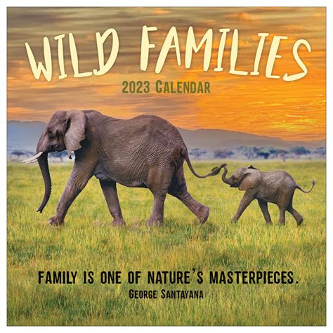 Buy Tf Publishing Wild Families 2023 Wall 12 Month Premium 2023 Wall
