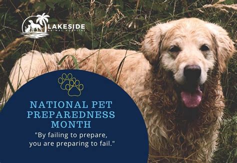 National Pet Preparedness Month Lakeside Animal Hospital