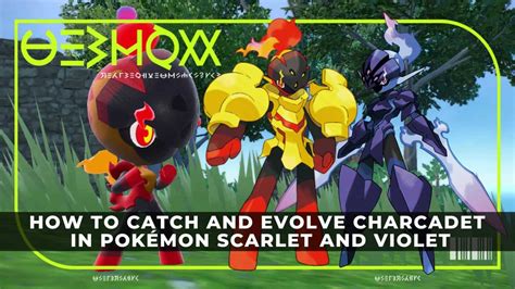 How To Catch And Evolve Charcadet In Pok Mon Scarlet And Violet Keengamer