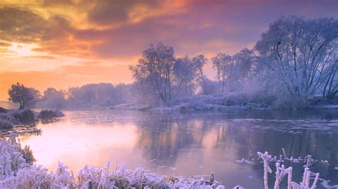Winter Full Hd Wallpaper And Background Image 1920x1080 Id461996