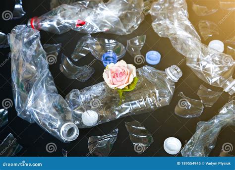 Plastic Bottles Lying In The Pile With A Flower Environmental Pollution Ecological Disaster