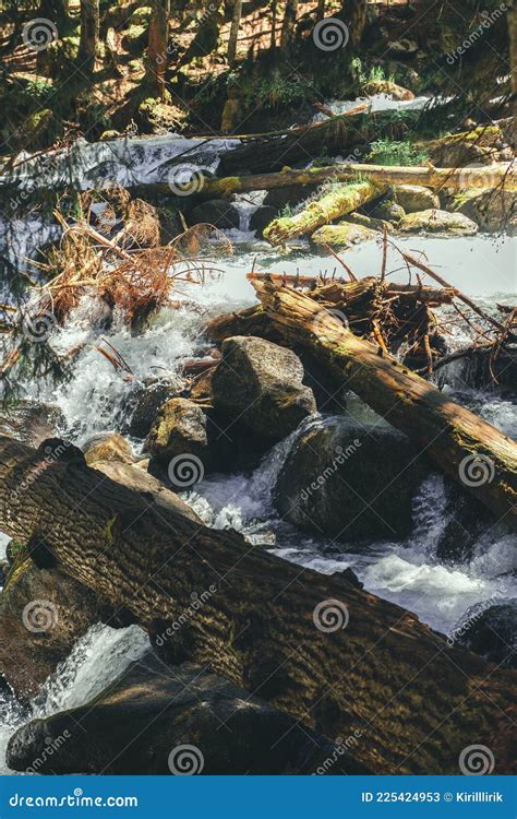 Mountain Stream In The Woods At Spring Stock Image Image Of Nature