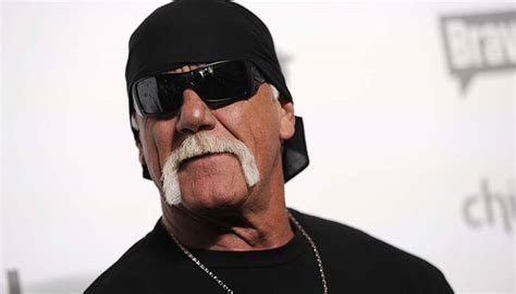 Sex Tapes Case Hulk Hogan Jury Awards Usd 25 Mn In Punitive Damages