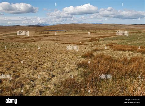 Denbigh Moors In North Wales Hi Res Stock Photography And Images Alamy