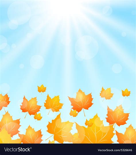 Autumn Flying Maples In Blue Sky Royalty Free Vector Image