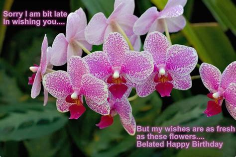 Happy Belated Birthday Flowers Belated Birthday Quotes Wishes Are As