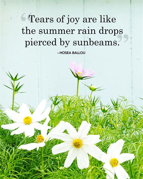 Beautiful Summer Quotes Shortquotescc