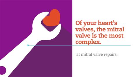 The Complex Mitral Valve Youtube
