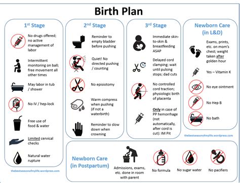 Birth Plan from thebestseasonofmylife.wordpress.com Natural Birth Plans