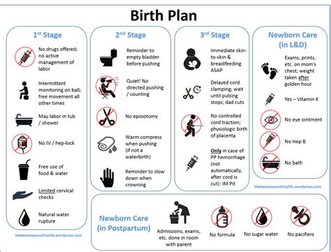 A Downloadable Visual Birth Plan Birth Plan Template Birth Plan