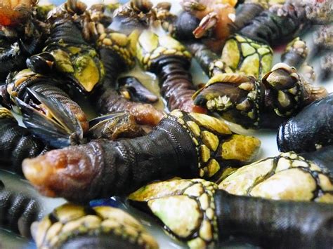 FOOD INTELLIGENCE Connaissez-vous les pousse- pieds